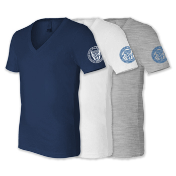 DANA HALL DEEP V-NECK T