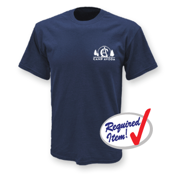 HEAVYWEIGHT TEE SHIRT