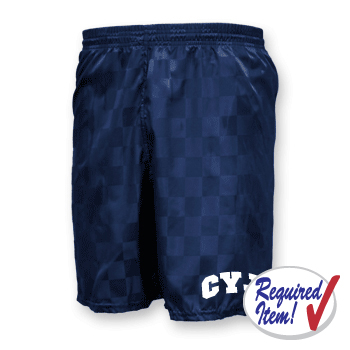NYLON CHECKER SOCCER SHORTS