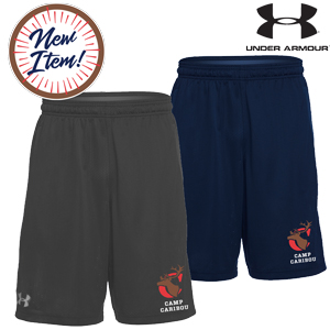 dri fit under armour shorts