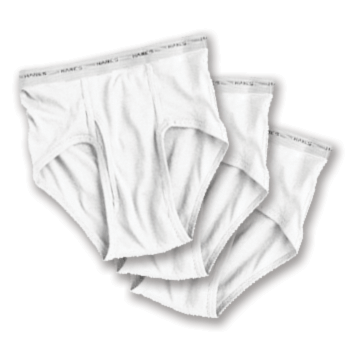 BRIEFS