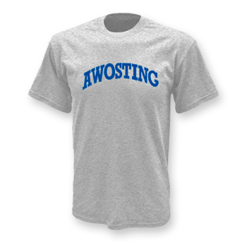 HEAVYWEIGHT TEE