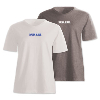 LADIES' V-NECK TEE