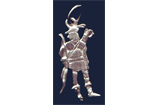 ROBINHOOD CHARM