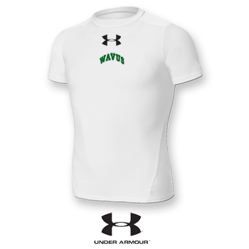 WOMENS UNDER ARMOUR TECH TEE