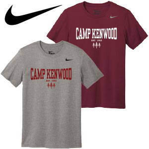 NIKE DRI-FIT LEGEND TEE