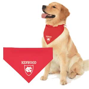 DOGGIE BANDANA