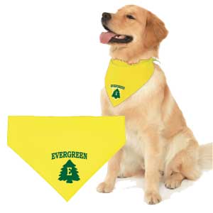 DOGGIE BANDANA