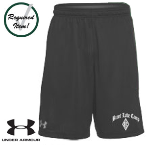 UNDER ARMOUR TECH MESH SHORTS
