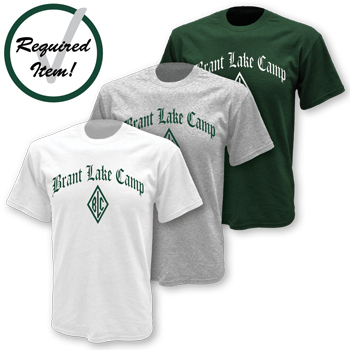 HEAVYWEIGHT COTTON T-SHIRT