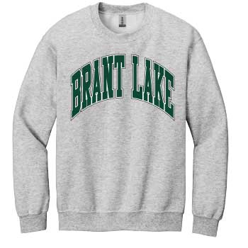 COLLEGIATE CREWNECK SWEATSHIRT