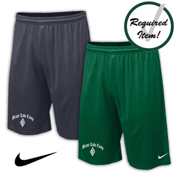 NIKE PERFORMANCE SHORTS