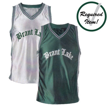 BRANT LAKE SHIMMER TANK TOP