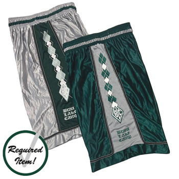 BRANT LAKE SHIMMER SHORTS