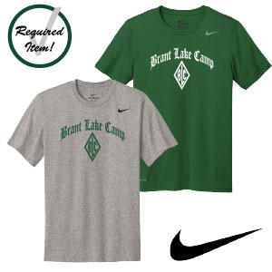NIKE TEAM rLEGEND TEE