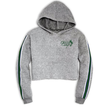 CROPPED STRIPE HOODIE