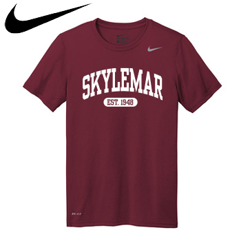 NIKE DRI-FIT PERFORMANCE TEE