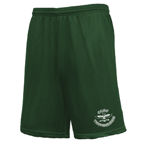 T-BIRD ATHLETIC MESH SHORTS