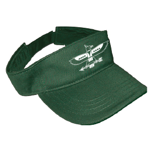 T-BIRD VISOR