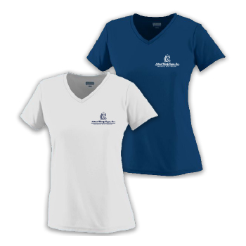 LADIES V-NECK PERFORMANCE TEE