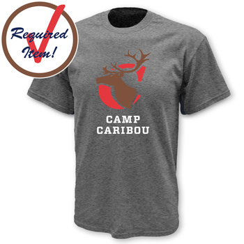 100% COTTON TEE - REQUIRED ITEM