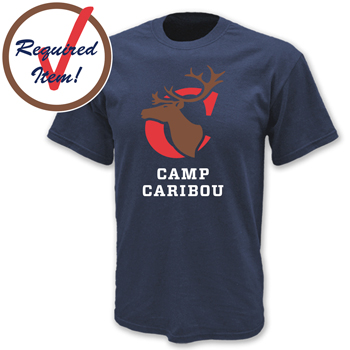 100% COTTON TEE - REQUIRED ITEM