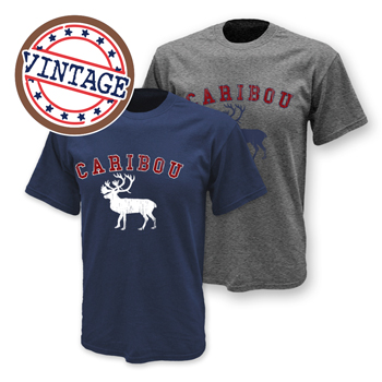 BELLA CANVAS VINTAGE TEE