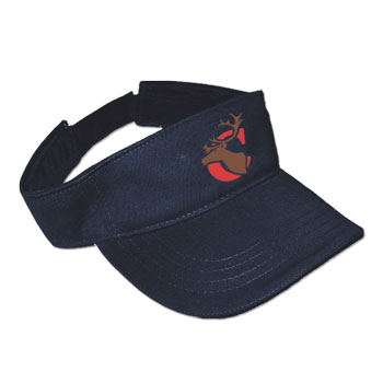 VISOR