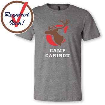 BELLA CANVAS SOFT TOUCH  FITTED JERSEY TEE - REQUIRED ITEM