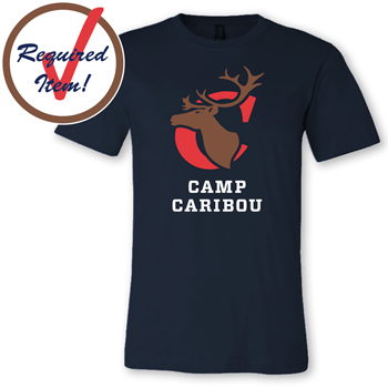 BELLA CANVAS SOFT TOUCH  FITTED JERSEY TEE - REQUIRED ITEM