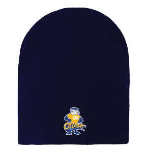 YOUTH KNIT BEANIE