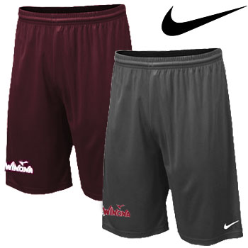 NIKE PERFORMANCE SHORTS