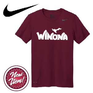 NIKE LEGEND DRI-FIT PERFORMANCE TEE