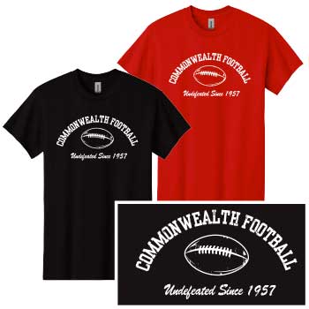 100% COTTON TEE - JOKE TEE - FOOTBALL