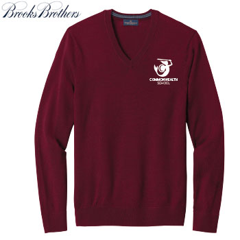 BROOKS BROTHERS WASHABLE MERINO V-NECK SWEATER