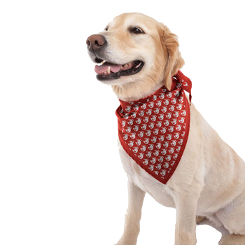 DOGGIE BANDANA