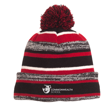 STRIPED KNIT BEANIE w/ POM