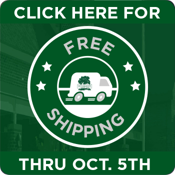 FREE SHIPPING THROUGH 10/5 *MUST ADD TO CART*