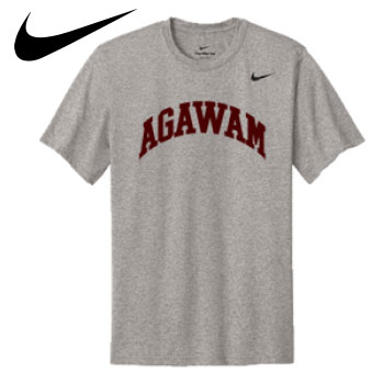 NIKE PERFORMANCE TEE