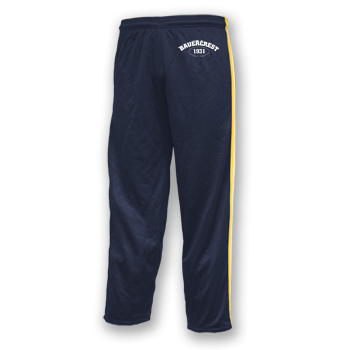 MESH BASKETBALL PANTS