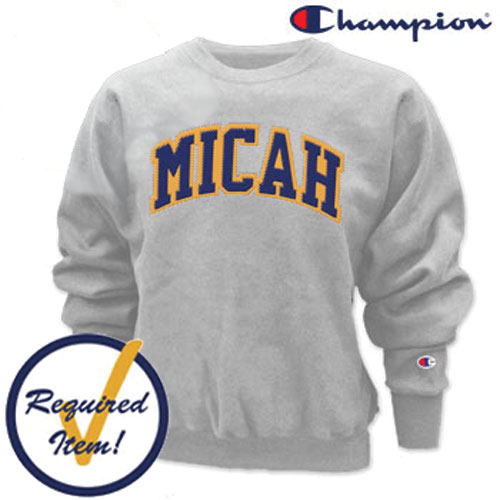 CHAMPION CROSSWEAVE CREW SWEATSHIRT