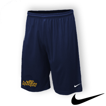 VINTAGE LOGO - NIKE PERFORMANCE SHORTS