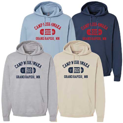 SOFTSTYLE HOODIE - VINTAGE LOGO