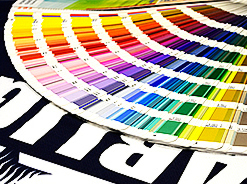 Pantone